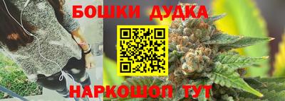 apvp Бийск