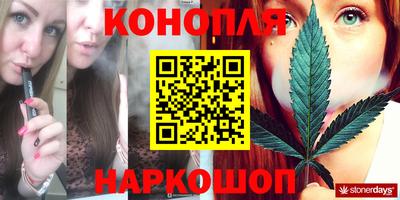 apvp Бийск