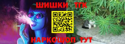 apvp Бийск